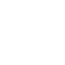 Cap Sleeves