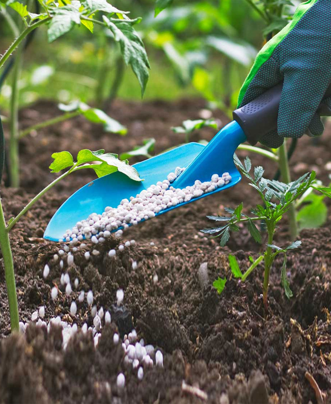Chemical & Fertilizers